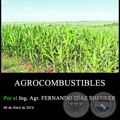 AGROCOMBUSTIBLES - Ing. Agr. FERNANDO DAZ SHENKER - 06 de Abril de 2016
